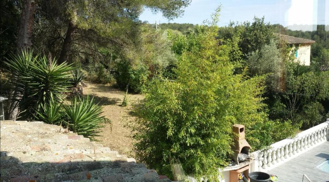 Appartement Pinede Man Yelle Sanary-sur-Mer Dış mekan fotoğraf
